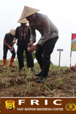 Perkuat Ketahanan Pangan, Kapolres Kuningan Pimpin Penanaman Jagung Serentak Kuartal I