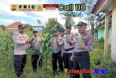 headline-foto
