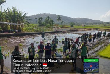 headline-foto