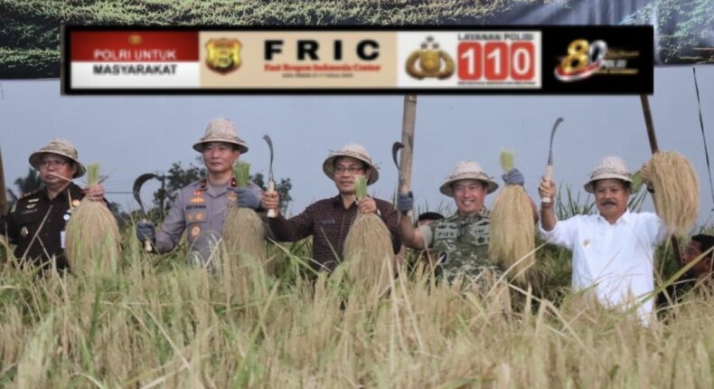 foto slider headline