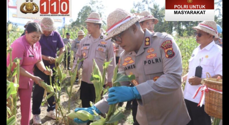 foto slider headline